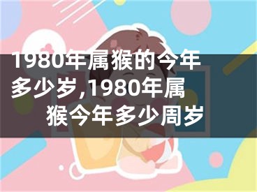 1980年属猴的今年多少岁,1980年属猴今年多少周岁