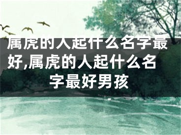 属虎的人起什么名字最好,属虎的人起什么名字最好男孩