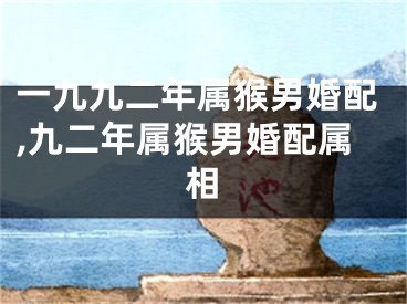 一九九二年属猴男婚配,九二年属猴男婚配属相