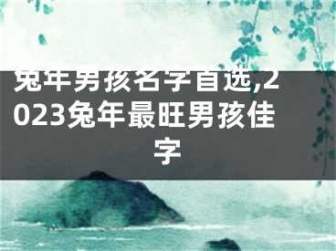 兔年男孩名字首选,2023兔年最旺男孩佳字
