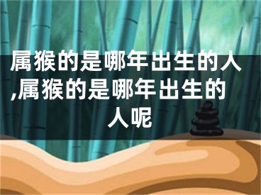属猴的是哪年出生的人,属猴的是哪年出生的人呢