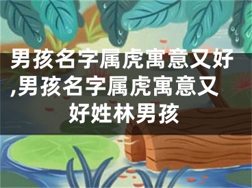 男孩名字属虎寓意又好,男孩名字属虎寓意又好姓林男孩