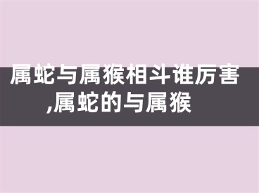 属蛇与属猴相斗谁厉害,属蛇的与属猴