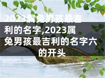 2023属兔男孩最吉利的名字,2023属兔男孩最吉利的名字六的开头