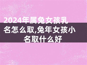 2024年属兔女孩乳名怎么取,兔年女孩小名取什么好