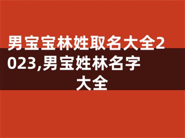 男宝宝林姓取名大全2023,男宝姓林名字大全