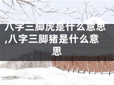八字三脚虎是什么意思,八字三脚猪是什么意思
