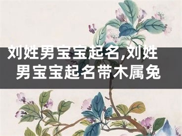 刘姓男宝宝起名,刘姓男宝宝起名带木属兔