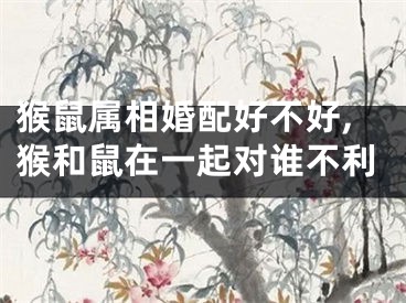 猴鼠属相婚配好不好,猴和鼠在一起对谁不利