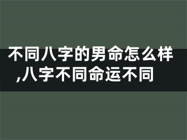 不同八字的男命怎么样,八字不同命运不同