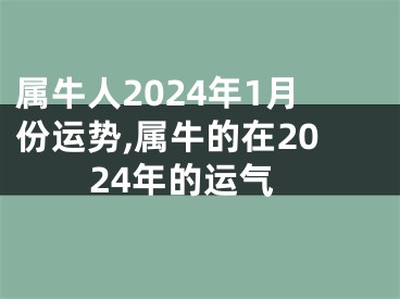 属牛人2024年1月份运势,属牛的在2024年的运气