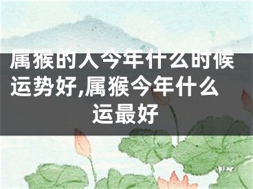 属猴的人今年什么时候运势好,属猴今年什么运最好