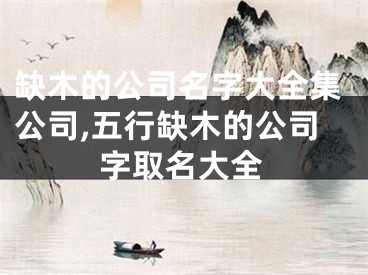 缺木的公司名字大全集公司,五行缺木的公司字取名大全