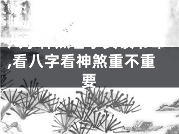 八字神煞看子女读书命,看八字看神煞重不重要