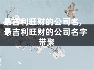 最吉利旺财的公司名,最吉利旺财的公司名字带聚