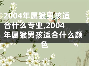 2004年属猴男孩适合什么专业,2004年属猴男孩适合什么颜色