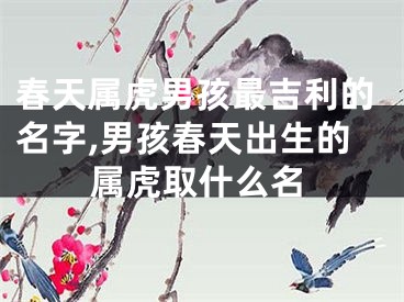 春天属虎男孩最吉利的名字,男孩春天出生的属虎取什么名