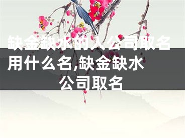 缺金缺水的人公司取名用什么名,缺金缺水 公司取名