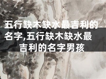 五行缺木缺水最吉利的名字,五行缺木缺水最吉利的名字男孩