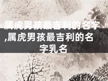 属虎男孩最吉利的名字,属虎男孩最吉利的名字乳名