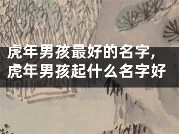虎年男孩最好的名字,虎年男孩起什么名字好