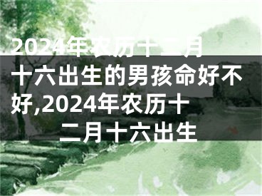 2024年农历十二月十六出生的男孩命好不好,2024年农历十二月十六出生