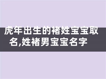 虎年出生的褚姓宝宝取名,姓褚男宝宝名字