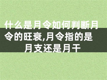 什么是月令如何判断月令的旺衰,月令指的是月支还是月干