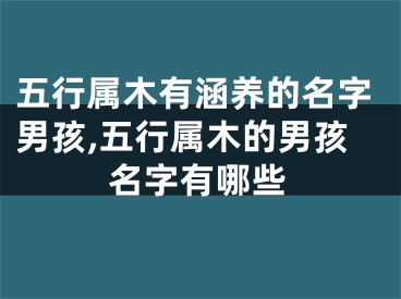 五行属木有涵养的名字男孩,五行属木的男孩名字有哪些