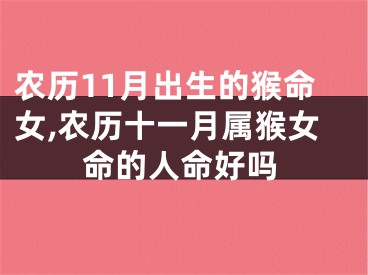 农历11月出生的猴命女,农历十一月属猴女命的人命好吗
