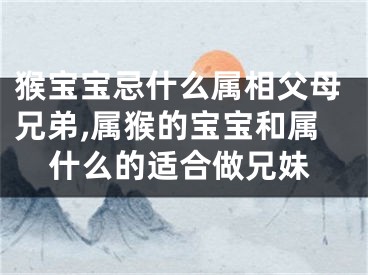 猴宝宝忌什么属相父母兄弟,属猴的宝宝和属什么的适合做兄妹
