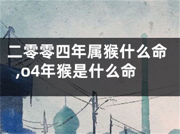 二零零四年属猴什么命,o4年猴是什么命
