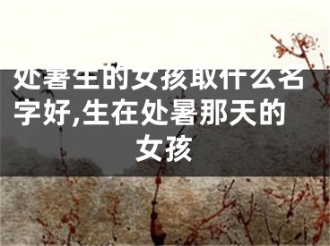 处暑生的女孩取什么名字好,生在处暑那天的女孩