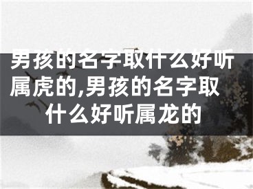 男孩的名字取什么好听属虎的,男孩的名字取什么好听属龙的