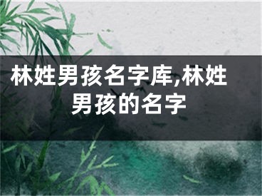 林姓男孩名字库,林姓男孩的名字