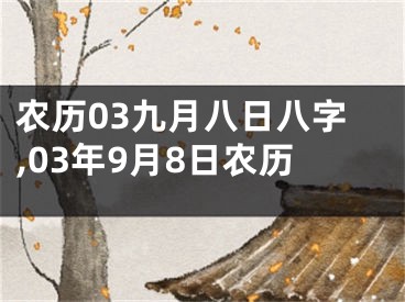 农历03九月八日八字,03年9月8日农历