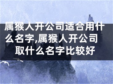 属猴人开公司适合用什么名字,属猴人开公司取什么名字比较好