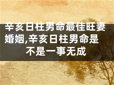 辛亥日柱男命最佳旺妻婚姻,辛亥日柱男命是不是一事无成