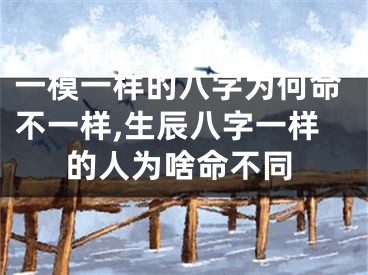 一模一样的八字为何命不一样,生辰八字一样的人为啥命不同