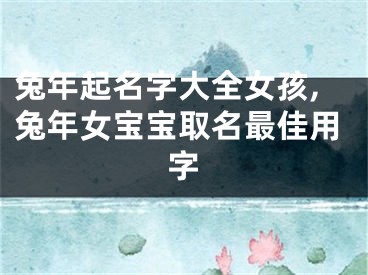 兔年起名字大全女孩,兔年女宝宝取名最佳用字