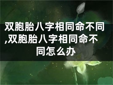 双胞胎八字相同命不同,双胞胎八字相同命不同怎么办
