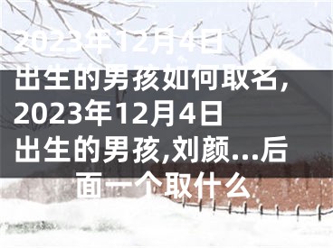 2023年12月4日出生的男孩如何取名,2023年12月4日出生的男孩,刘颜…后面一个取什么