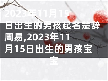 2023年11月15日出生的男孩起名楚辞周易,2023年11月15日出生的男孩宝宝