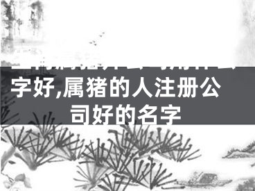 生肖属猪开公司用什么字好,属猪的人注册公司好的名字