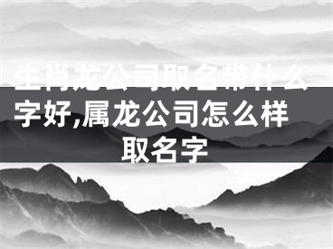 生肖龙公司取名带什么字好,属龙公司怎么样取名字