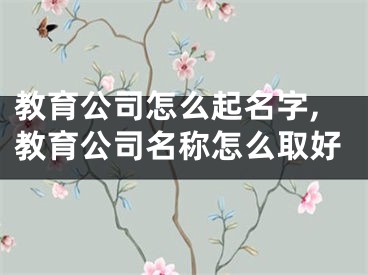 教育公司怎么起名字,教育公司名称怎么取好