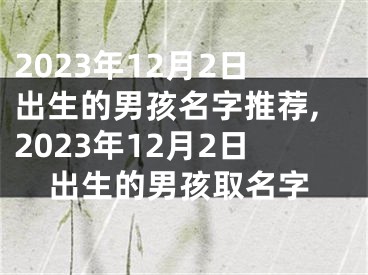 2023年12月2日出生的男孩名字推荐,2023年12月2日出生的男孩取名字
