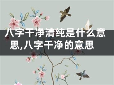 八字干净清纯是什么意思,八字干净的意思