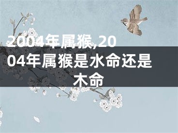 2004年属猴,2004年属猴是水命还是木命