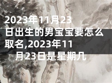 2023年11月23日出生的男宝宝要怎么取名,2023年11月23日是星期几